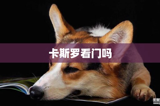 卡斯羅看門嗎