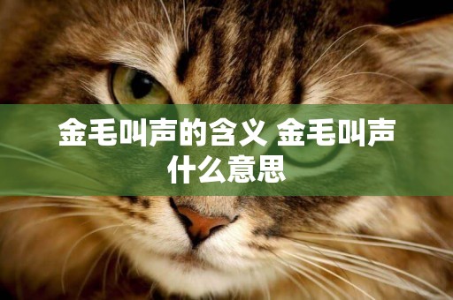 金毛叫聲的含義 金毛叫聲什么意思