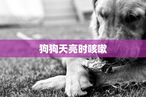 狗狗天亮時咳嗽