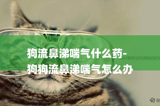 狗流鼻涕喘氣什么藥-
狗狗流鼻涕喘氣怎么辦