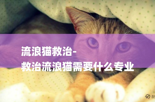 流浪貓救治-
救治流浪貓需要什么專業