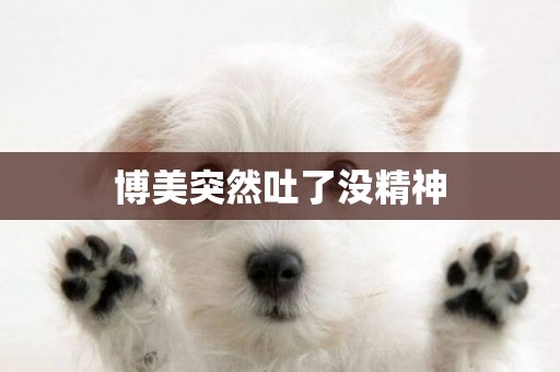 博美突然吐了沒精神