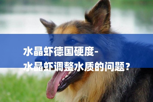 水晶蝦德國硬度-
水晶蝦調整水質的問題？