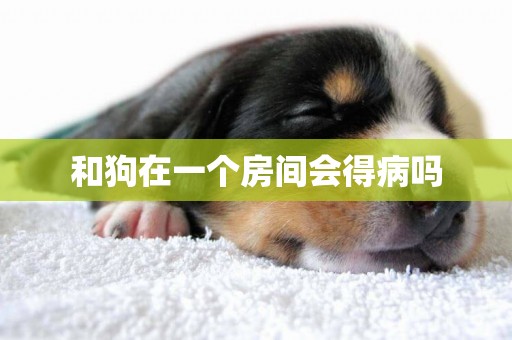 和狗在一個房間會得病嗎