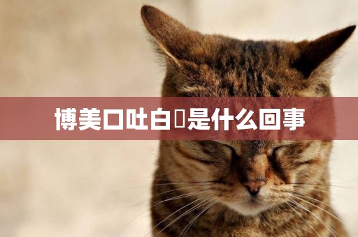 博美口吐白沬是什么回事