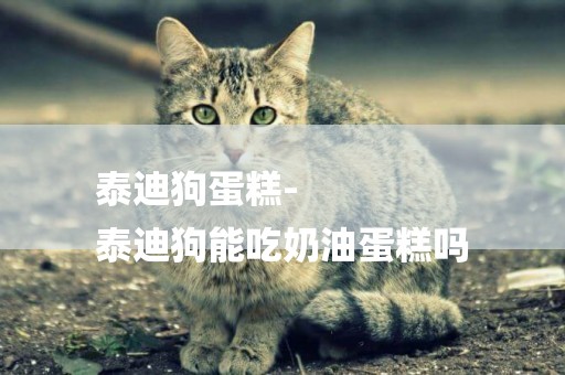 泰迪狗蛋糕-
泰迪狗能吃奶油蛋糕嗎