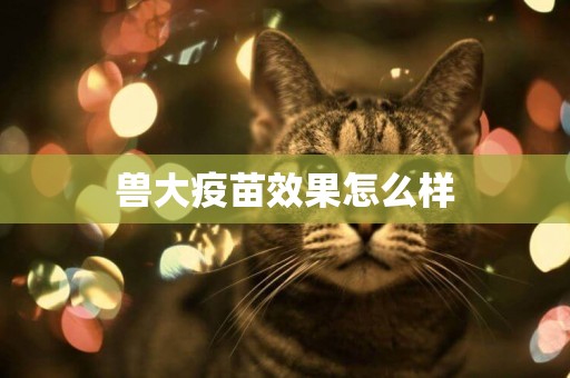 獸大疫苗效果怎么樣