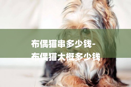 布偶貓串多少錢-
布偶貓大概多少錢