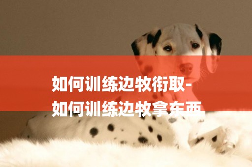 如何訓練邊牧銜取-
如何訓練邊牧拿東西