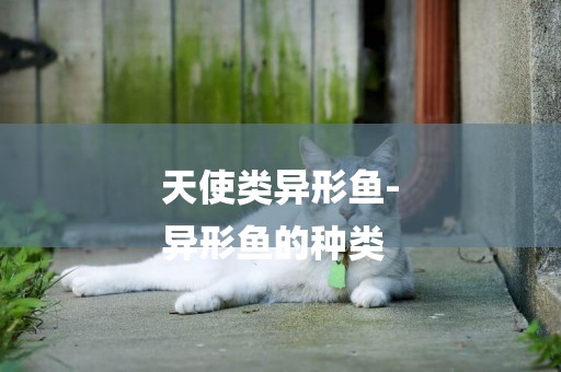 天使類異形魚-
異形魚的種類