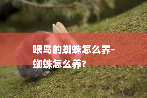 喂鳥的蜘蛛怎么養-
蜘蛛怎么養?