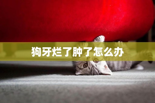 狗牙爛了腫了怎么辦