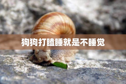 狗狗打瞌睡就是不睡覺
