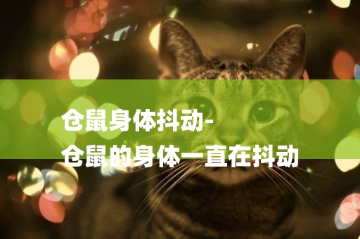 倉鼠身體抖動-
倉鼠的身體一直在抖動