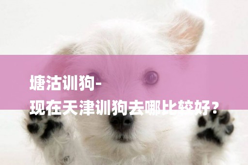 塘沽訓狗-
現在天津訓狗去哪比較好？