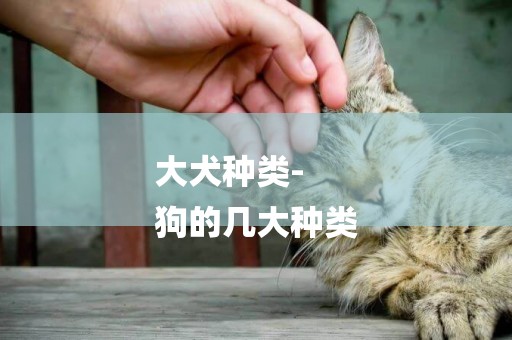 大犬種類-
狗的幾大種類