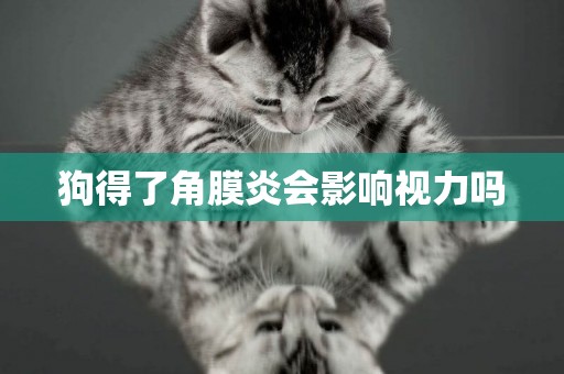 狗得了角膜炎會影響視力嗎