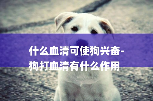 什么血清可使狗興奮-
狗打血清有什么作用