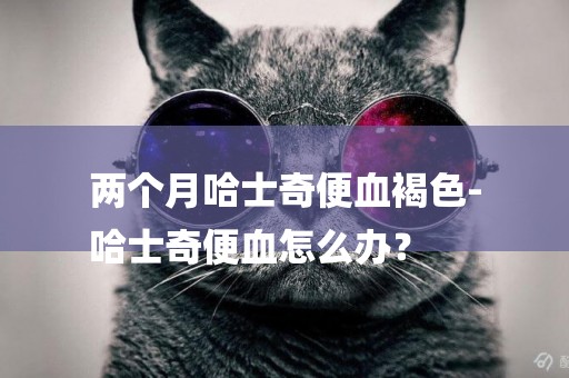 兩個月哈士奇便血褐色-
哈士奇便血怎么辦？