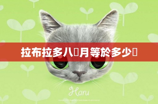 拉布拉多八個月等於多少歲