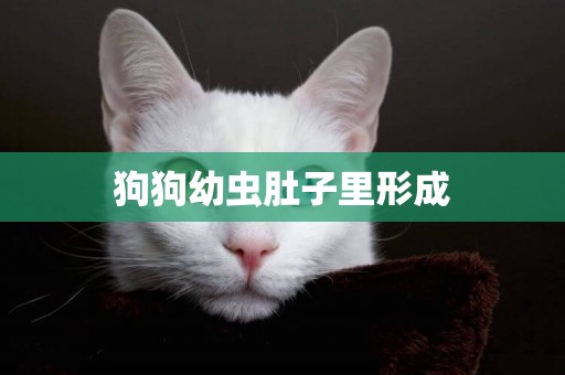 狗狗幼蟲肚子里形成
