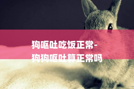 狗嘔吐吃飯正常-
狗狗嘔吐算正常嗎