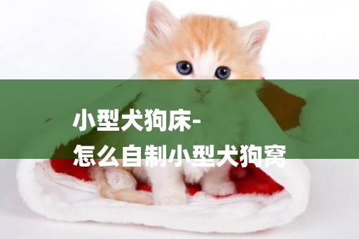 小型犬狗床-
怎么自制小型犬狗窩