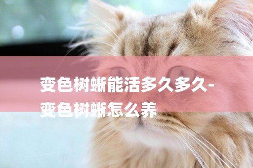 變色樹蜥能活多久多久-
變色樹蜥怎么養
