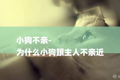 小狗不親-
為什么小狗跟主人不親近