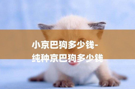 小京巴狗多少錢-
純種京巴狗多少錢