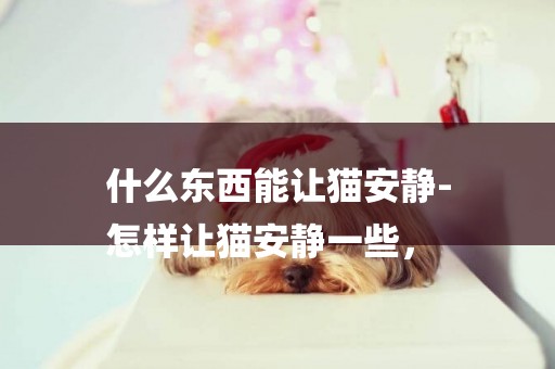 什么東西能讓貓安靜-
怎樣讓貓安靜一些，
