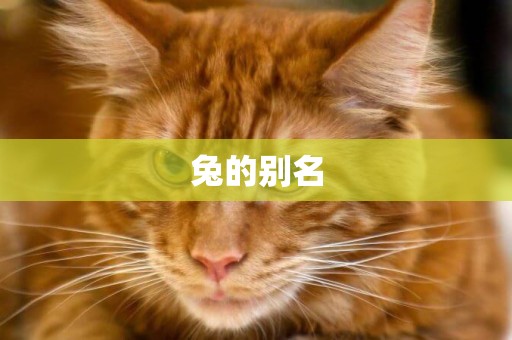 兔的別名