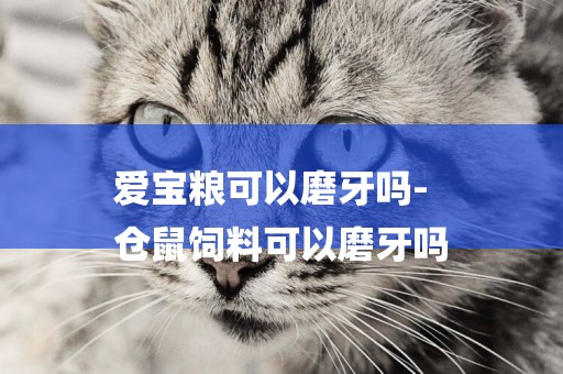 愛寶糧可以磨牙嗎-
倉鼠飼料可以磨牙嗎