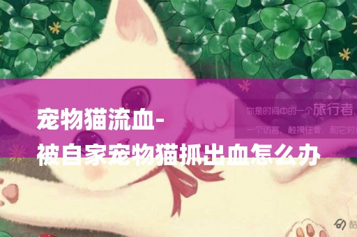 寵物貓流血-
被自家寵物貓抓出血怎么辦