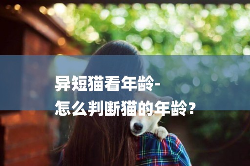 異短貓看年齡-
怎么判斷貓的年齡？