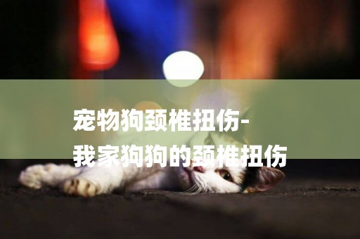寵物狗頸椎扭傷-
我家狗狗的頸椎扭傷