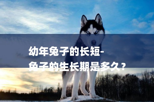 幼年兔子的長短-
兔子的生長期是多久？