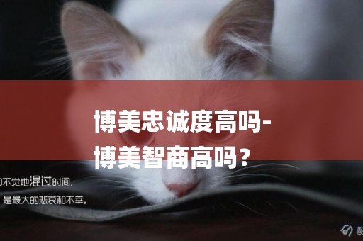 博美忠誠度高嗎-
博美智商高嗎？