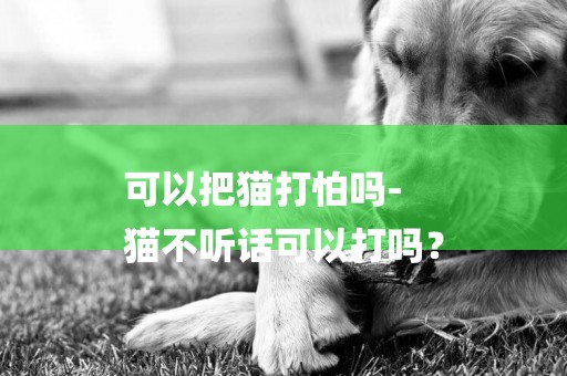 可以把貓打怕嗎-
貓不聽話可以打嗎？