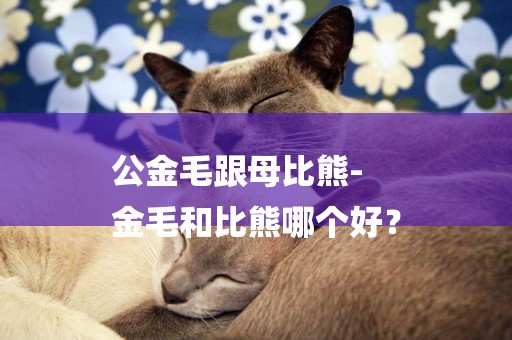 公金毛跟母比熊-
金毛和比熊哪個好？