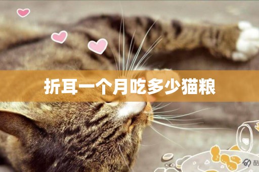 折耳一個月吃多少貓糧