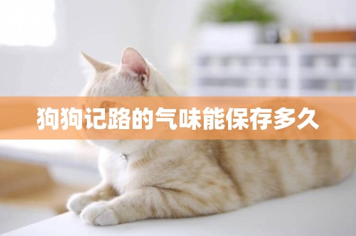 狗狗記路的氣味能保存多久