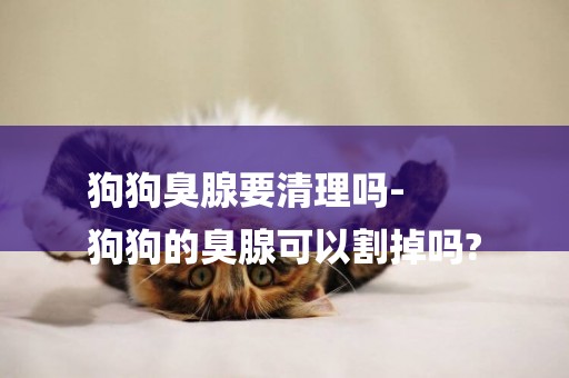 狗狗臭腺要清理嗎-
狗狗的臭腺可以割掉嗎?