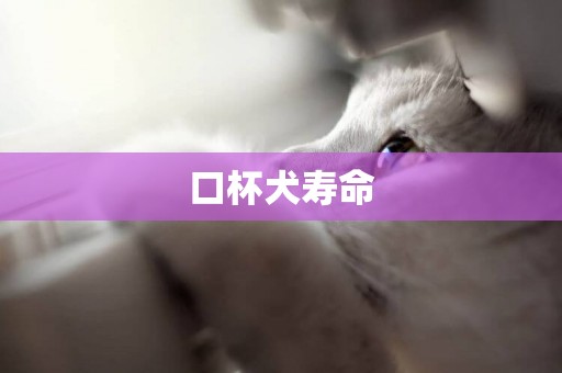 口杯犬壽命