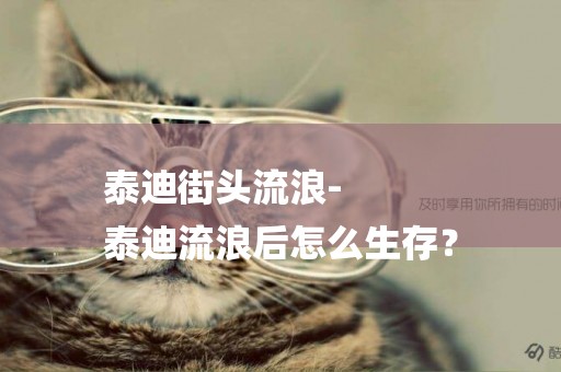 泰迪街頭流浪-
泰迪流浪后怎么生存？