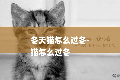 冬天貓怎么過冬-
貓怎么過冬