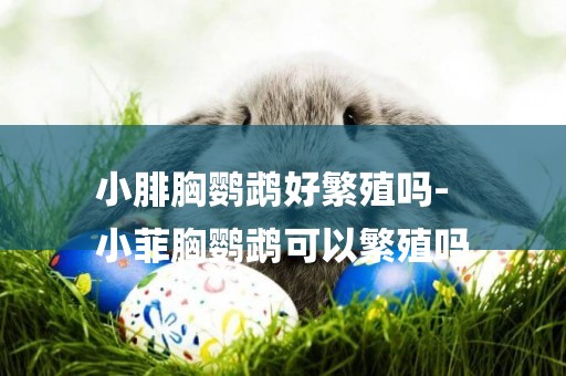 小腓胸鸚鵡好繁殖嗎-
小菲胸鸚鵡可以繁殖嗎