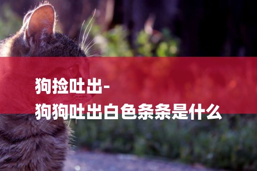狗撿吐出-
狗狗吐出白色條條是什么