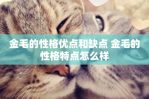 金毛的性格優點和缺點 金毛的性格特點怎么樣