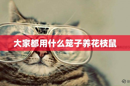 大家都用什么籠子養花枝鼠